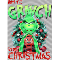 idol singer-GS  1102